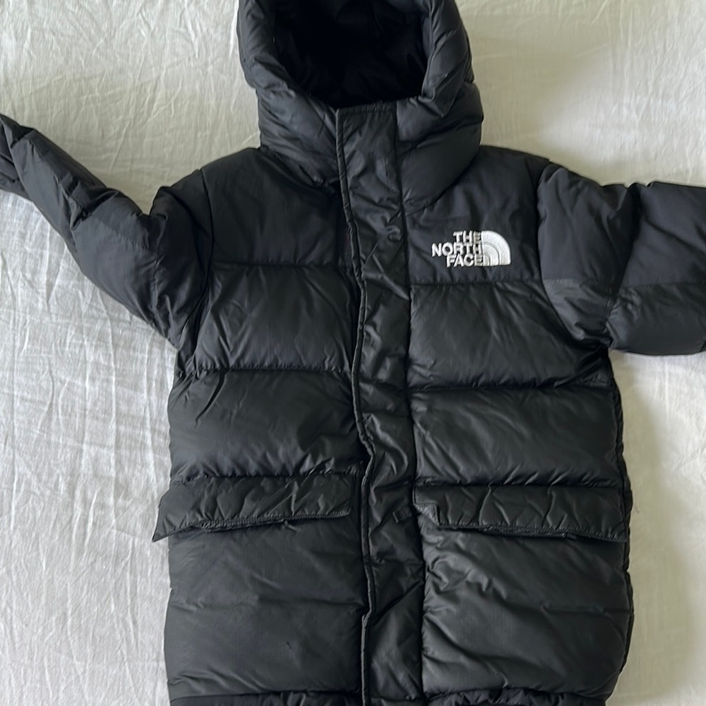 The North Face Black Puffer Jacket with Hood and Insulation